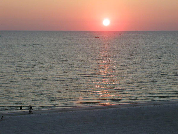 Saffron Time Florida